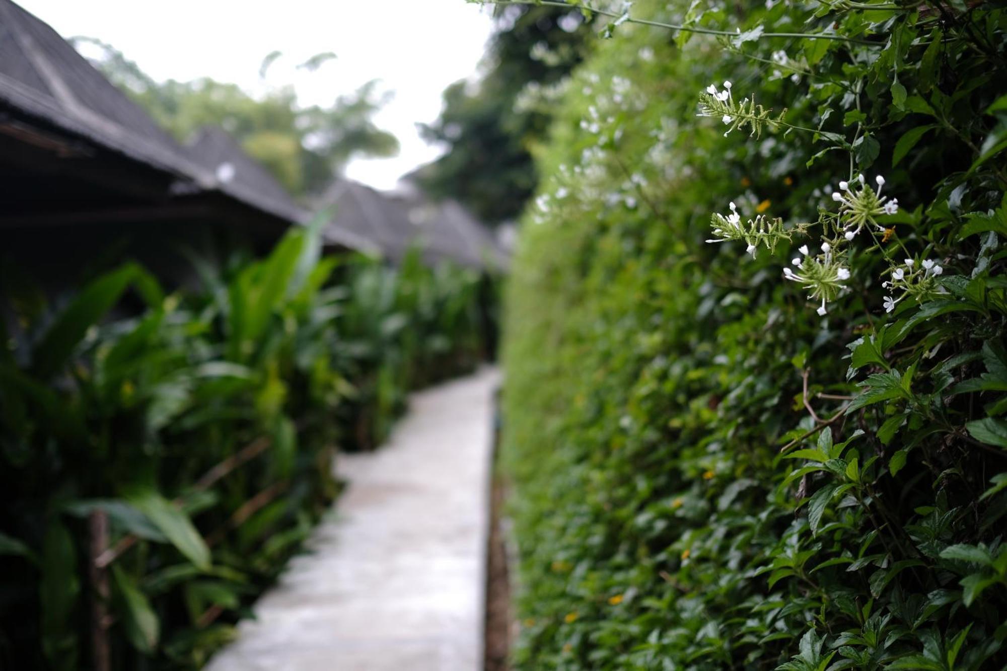 Yoma Hotel, Pai Quarto foto