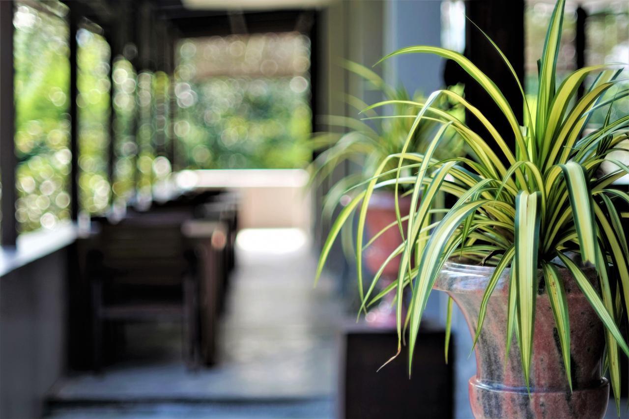 Yoma Hotel, Pai Exterior foto